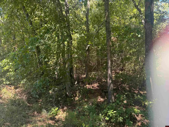 Lynette Ave, Bull Shoals, AR 72619
