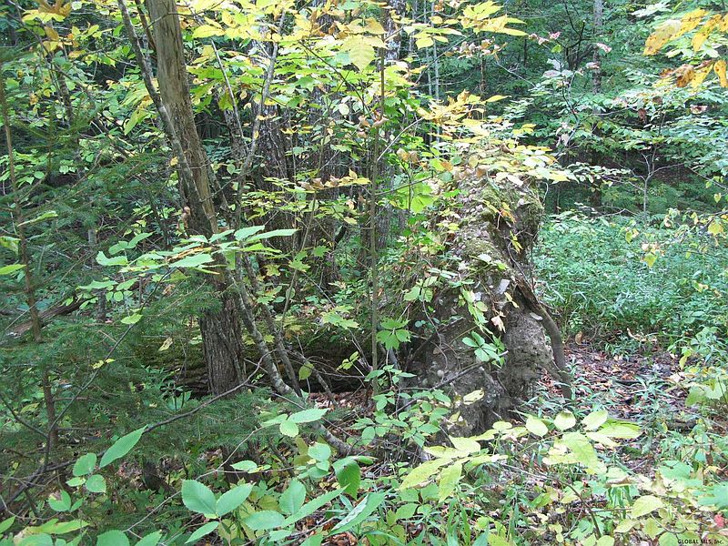 5th image of 00 BURTONVILLE Road