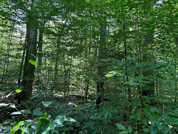 2nd image of 66-1-5.1 Fulton House Spur #2