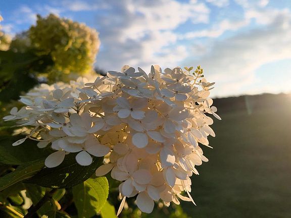 3rd image of 607 Feller Dr