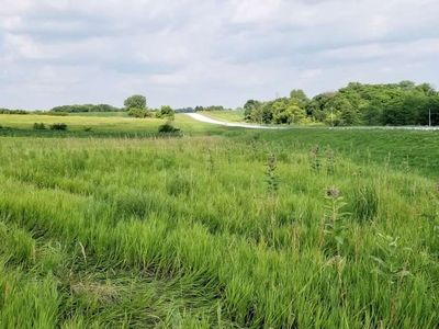 LOT 1 Yanskys First M L 150th St, Riverside, IA, 52327
