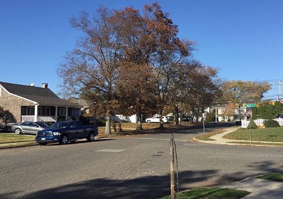 4th image of 804 Mayer Dr