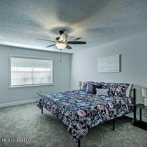 317 Peach Orchard Dr — Photo 8