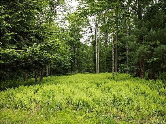 3rd image of Lot 4 Chapin Trail