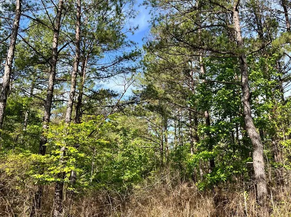 0 Jerusalem Rd, Liberty, MS 39645