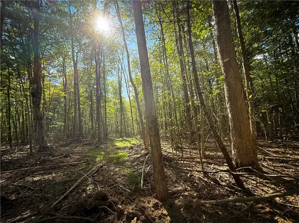 Hollister Rd #24, Freeville, NY 13068