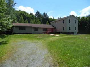 17 Spruce Ln, Parksville, NY 12768
