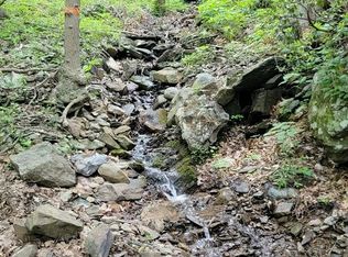 8-A-13 Mountain Music Ln, Elk Creek, VA 24326