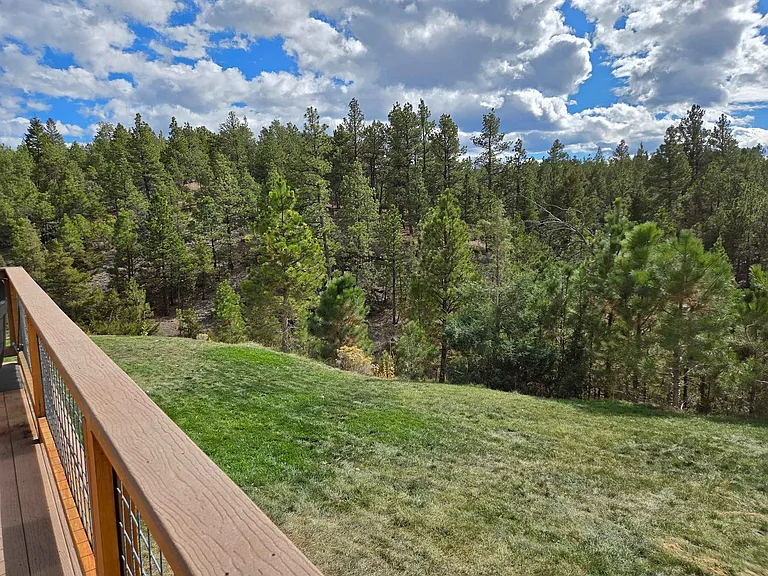 Window View