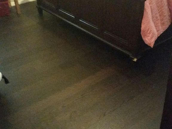 4th image of 10117 Kirk Dr