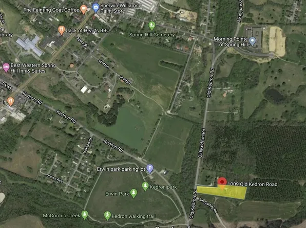 1009 Old Kedron Rd, Spring Hill, TN 37174