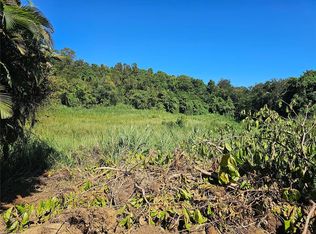 State Highway 159, Morovis, PR 00687