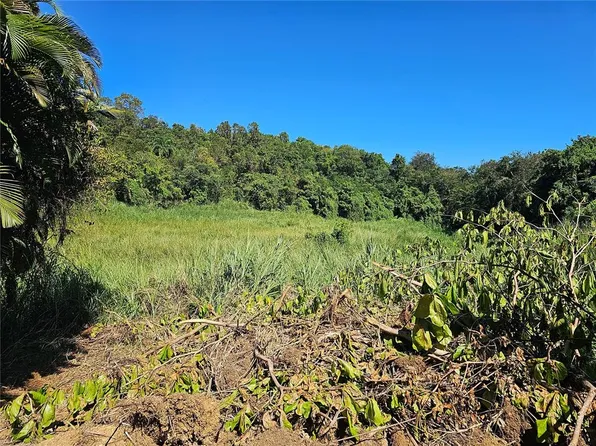 State Highway 159, Morovis, PR 00687