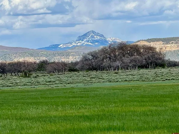 Lot 11 Road 29, Dove Creek, CO 81324