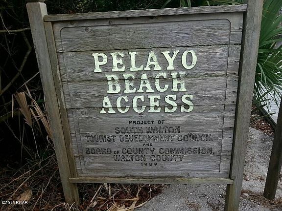 paleyo9