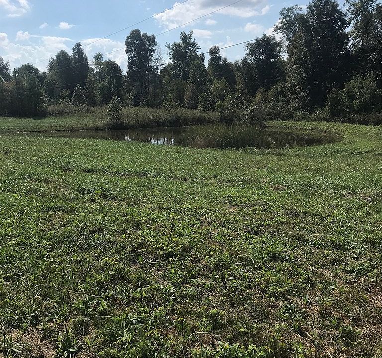 2nd image of 60 Wagner Ln