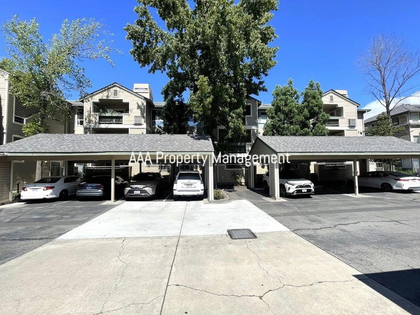 Walnut Creek Condo near Bart! Gorgeous 2 bedroom 2 bath in fantastic location! — Photo 1