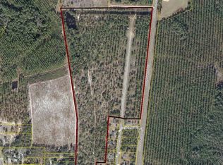Dolphin St, Sanderson, FL 32087