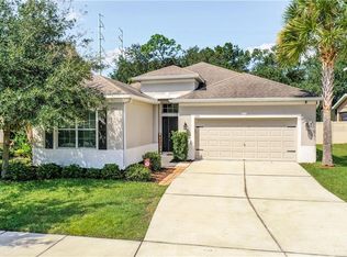 11311 Thames Fare Way, Lithia, FL 33547