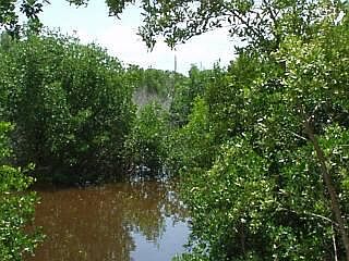 5th image of 58 Gordon Dr