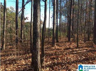 52 Bells Ln LOT 52, Vincent, AL 35178