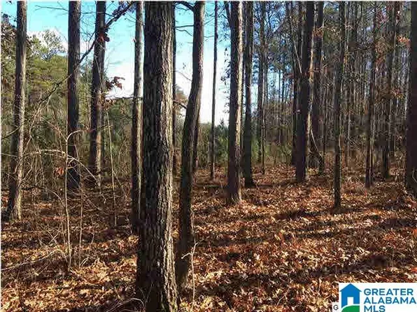 58 Haines Dr, Vincent, AL 35178