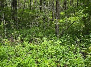 Tbd Apple Valley Rd, Zionville, NC 28698