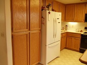4th image of 11553 Amir Ct