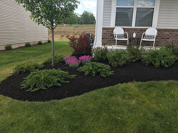 Front landscaping