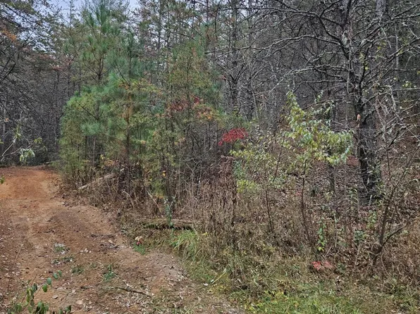 0 Belaire Dr, Copperhill, TN 37317