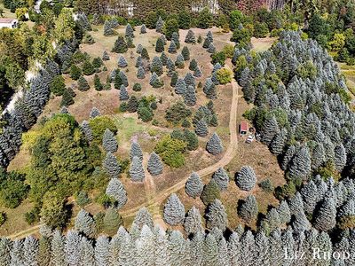 V/l 13 Mile Rd NE, Rockford, MI, 49341