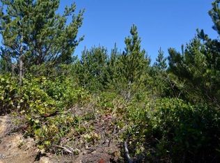 LOT 10 NW Thompson St, Seal Rock, OR