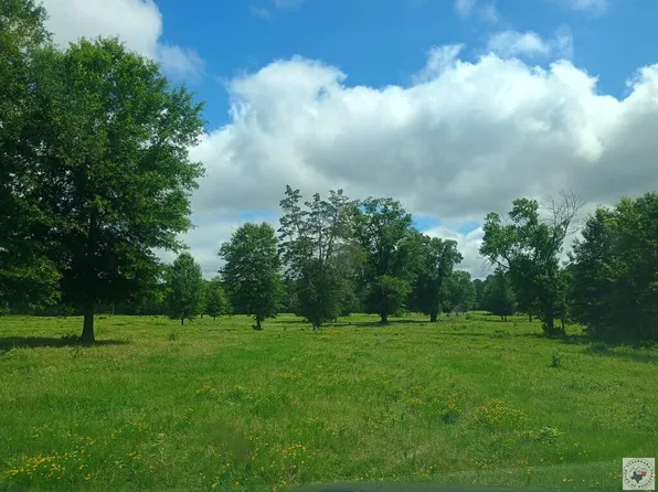 TRACT 18 Highway 990, Simms, TX 75574