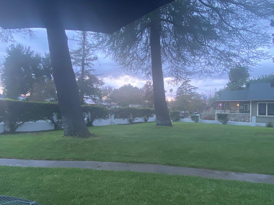 This is a view of the front yard of the main home, which the cottage is behind. While this view is not viewable from the cottage, the scene provides you a sense of the beauty of the property the cottage is on.