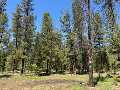 Nhn Franko Ln, Trout Creek, MT, 59874