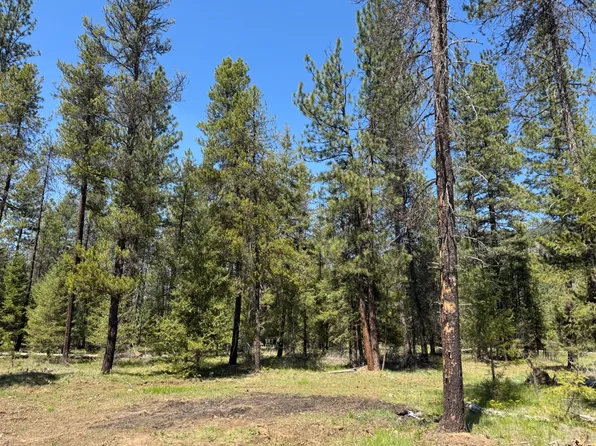 Nhn Franko Ln, Trout Creek, MT 59874