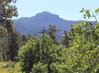1422 Needles View Pl, Pagosa Springs, CO 81147