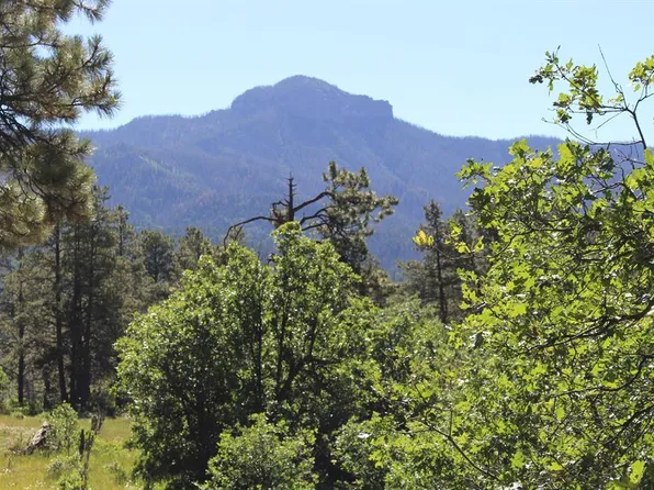 1422 Needles View Place, Pagosa Springs, CO 81147