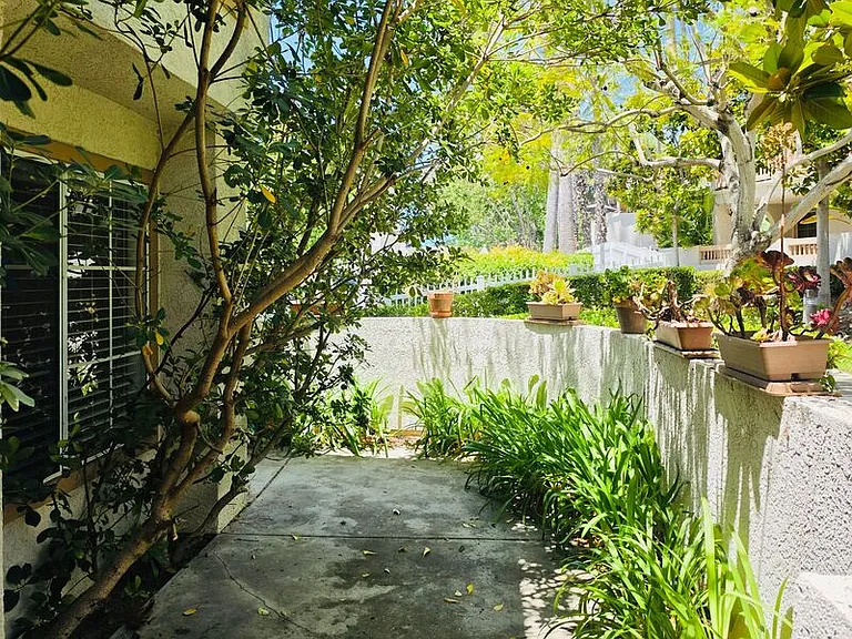24381 Acaso #3 — Photo 19