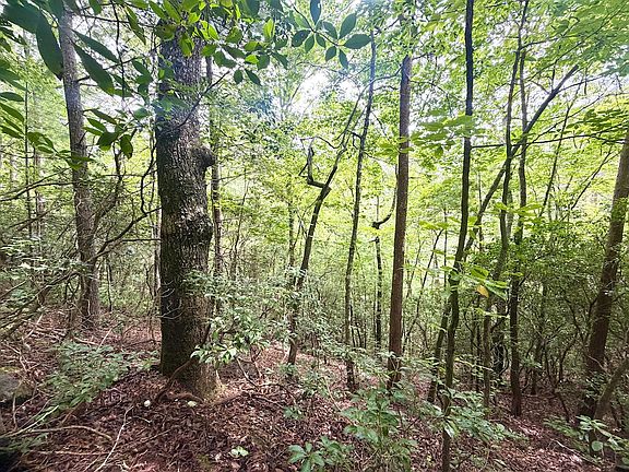 3rd image of 4354 Yellow Creek Rd
