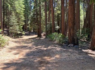 20481 Pine Dr E, Pioneer, CA 95666