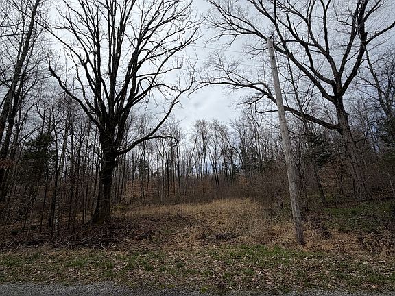 2nd image of 0 Coxburg Rd S