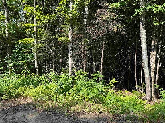 4th image of 0 North Groton Road