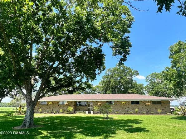 811 Mamou Prairie Rd, Iota, LA 70543