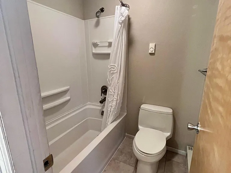 Basement bathroom (2 of 2.5)