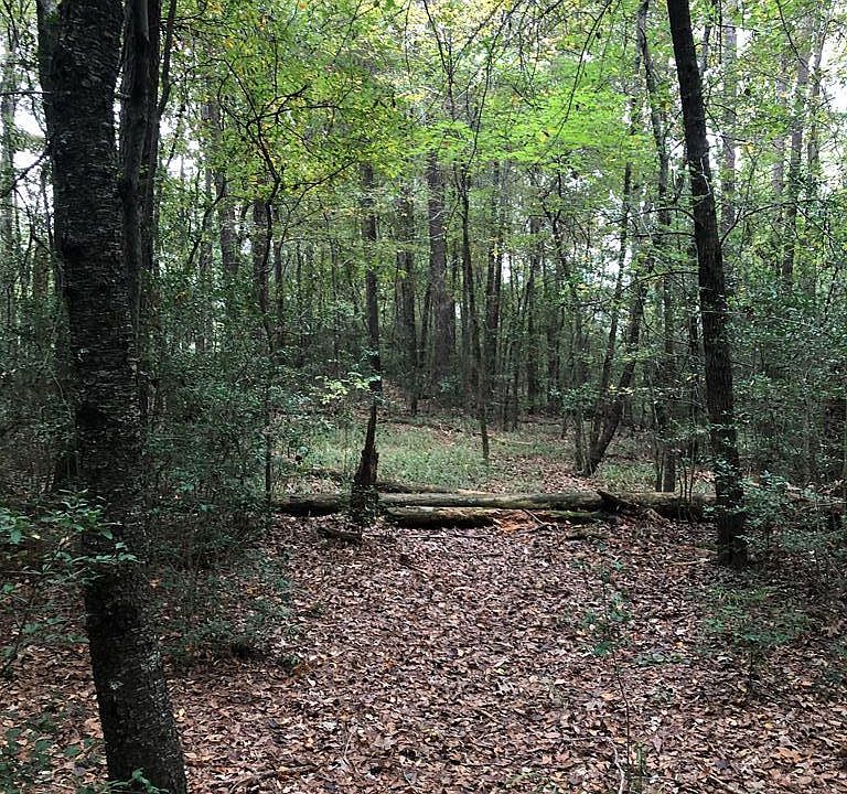 1st image of 550 Woodland Oak Dr