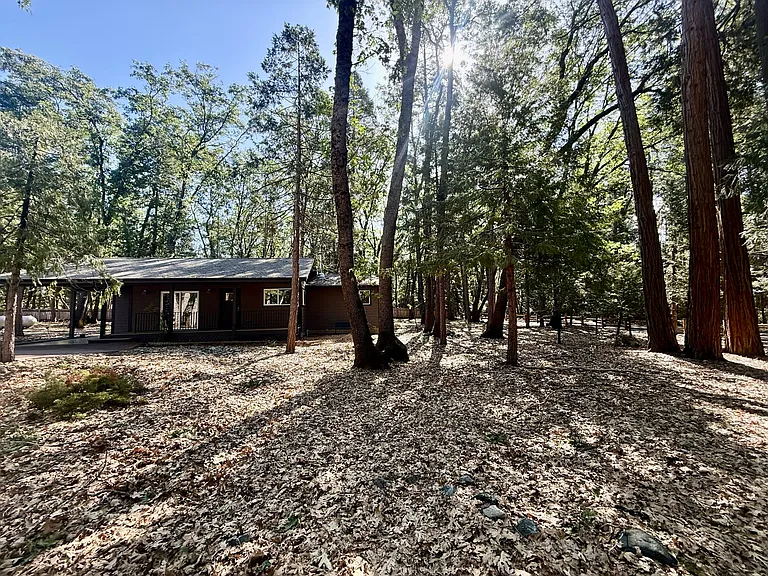 13240 Loma Rica Dr — Photo 10