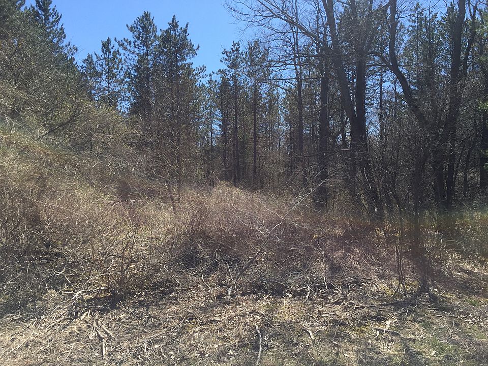 1st image of Walbridge Road Allegany County 50 Acres