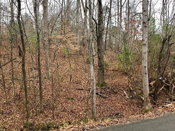 2nd image of 0 Mountain Cir #45