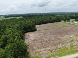 TBD Highway 308 Lot #6, Galivants Ferry, SC 29544